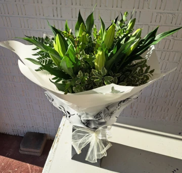 just-lilys