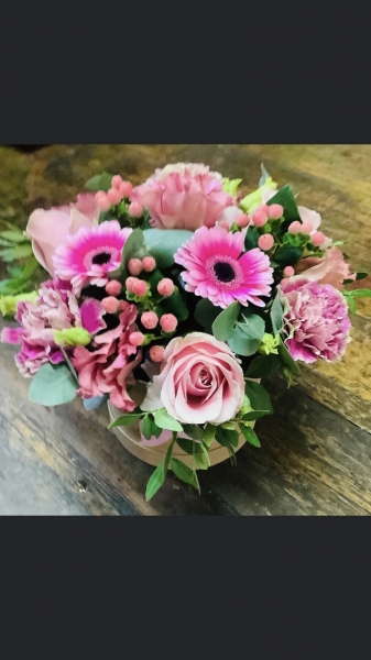 pretty-in-pink