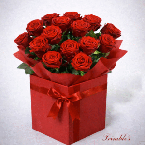 12 luxury ecuadorian red