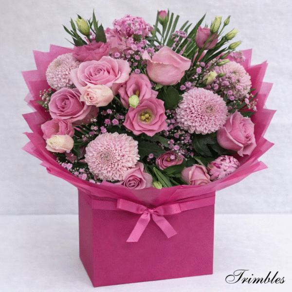 Pom pom rose-wax flowe