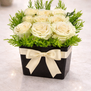 Cream white ecuadorian ro