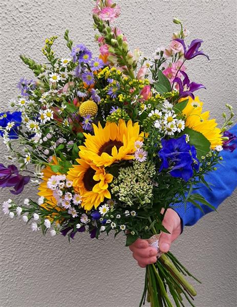 A burst of colour