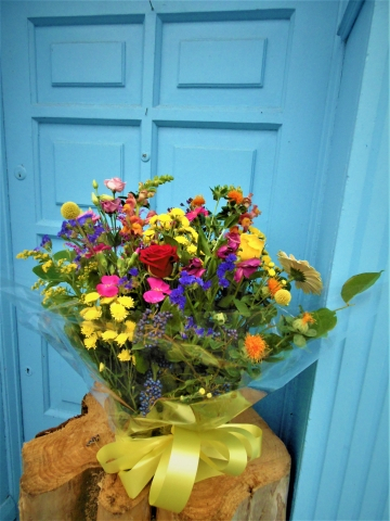 Seasonal abundance