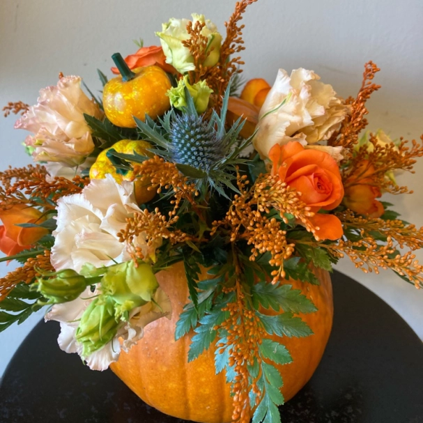 Pumpkin perfection