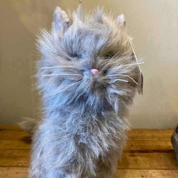 Cute-kitty-add-on-only