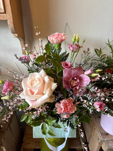 Blush serenity
