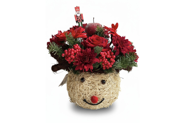 Reindeer christmas cheer