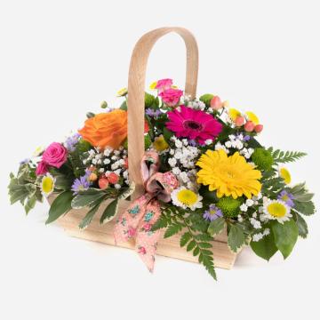 sherbet-twist-vibrant-classic-basket-1