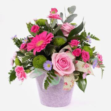 cotton-candy-petite-pot-arrangement-of-flowers-1