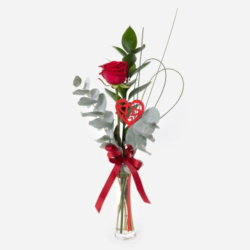 a-little-treasure-single-red-rose-in-a-glass-vase-1