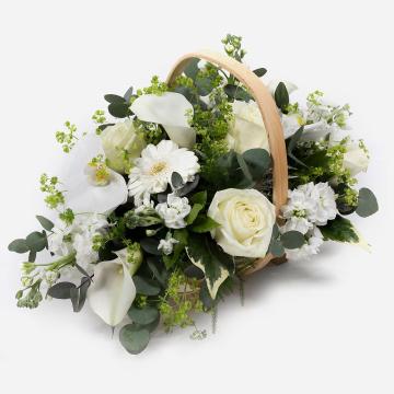 scented-moonlight-1