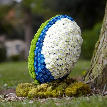 rugby-ball-floral-tribute-with-white-chrysanthemums-and-blue-accents-1