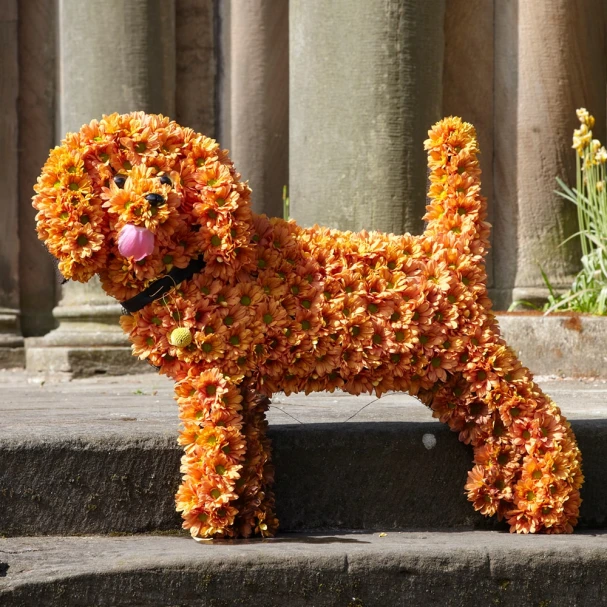 standing-dog-tribute-with-orange-chrysanthemums-1