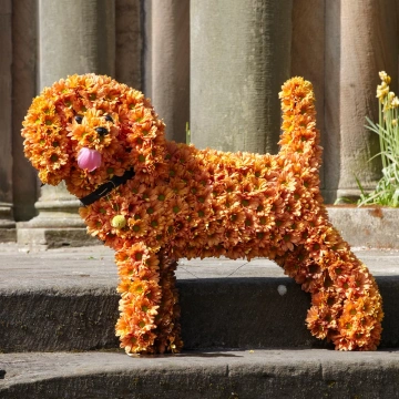 standing-dog-tribute-with-orange-chrysanthemums-1