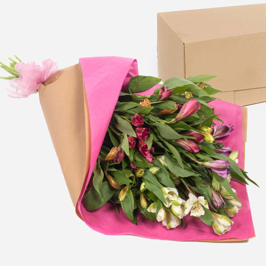 Boxed bouquet of mixed alstroemeria flowers in pink wrap boxed bouquet of mixed alstroemeria flowers in pink wrap 2