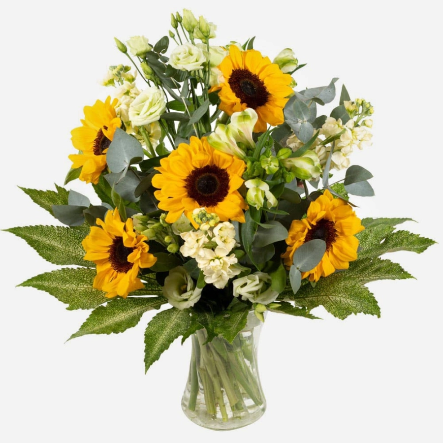 sunny-spells-cheerful-sunflower-and-white-bloom-arrangement-in-a-clear-glass-vase-2