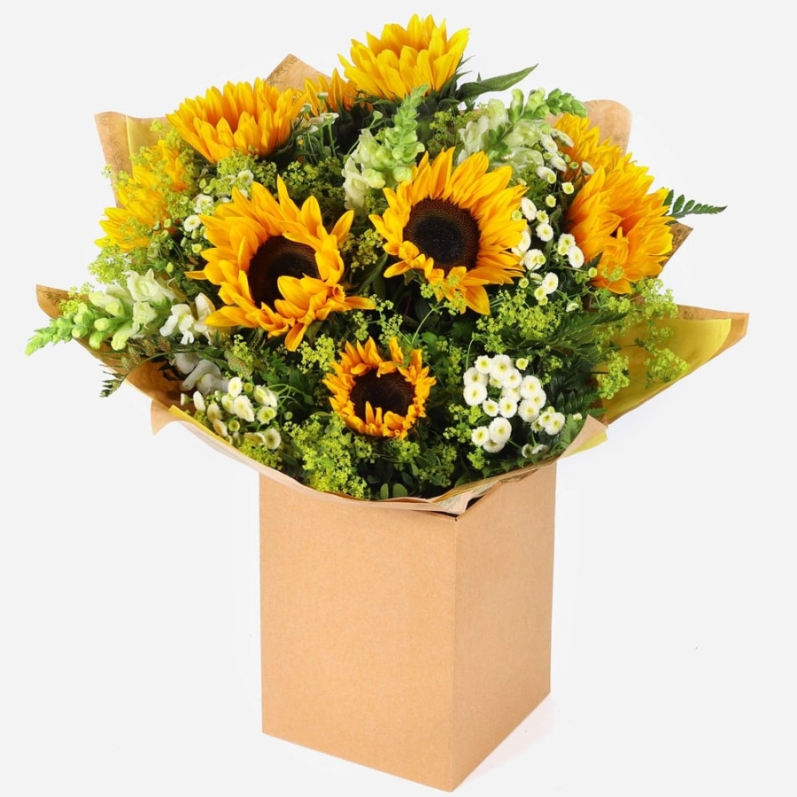 hand-tied-sunflower-bouquet-with-white-filler-flowers-and-greenery-in-gift-box-1