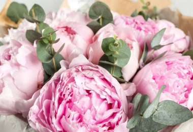 close-up of a bouquet of pastel pink peonies.